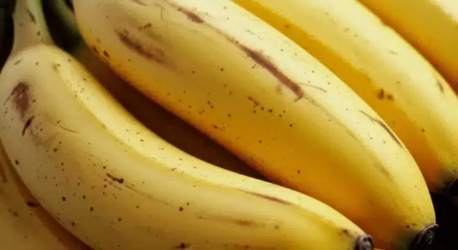 Banana Muffins Recipe: A Delightful and Easy Treat Banana muffins recipe starts with ripe bananas featuring brown spots on a wooden countertop—ideal for moist, naturally sweet muffins.