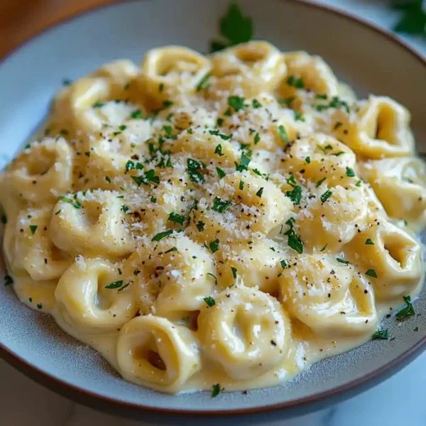 Tortellini sauce Alfredo served on a white plate, garnished with parmesan and parsley