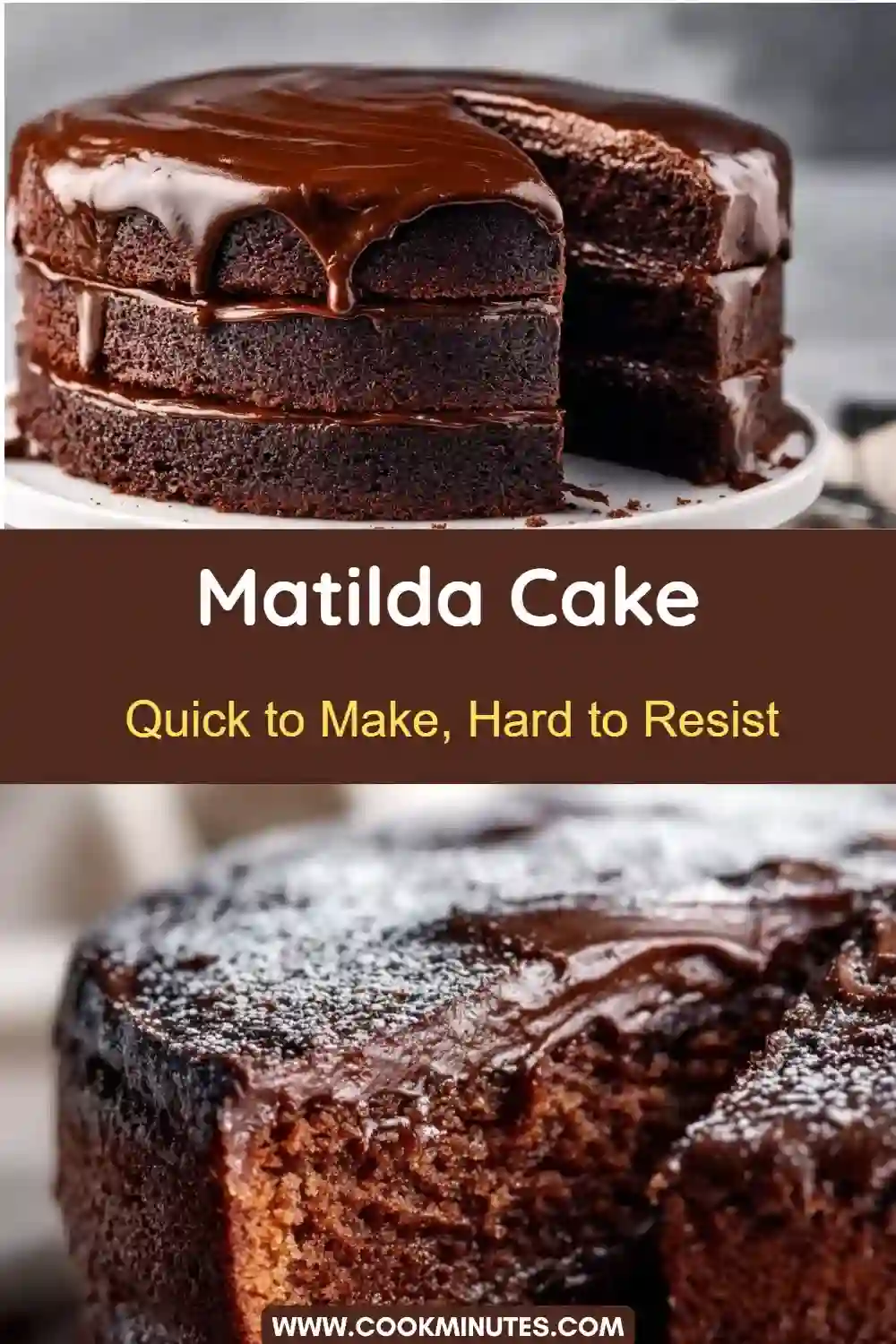 Matilda cake with three thick fudgy chocolate layers and glossy ganache on top.