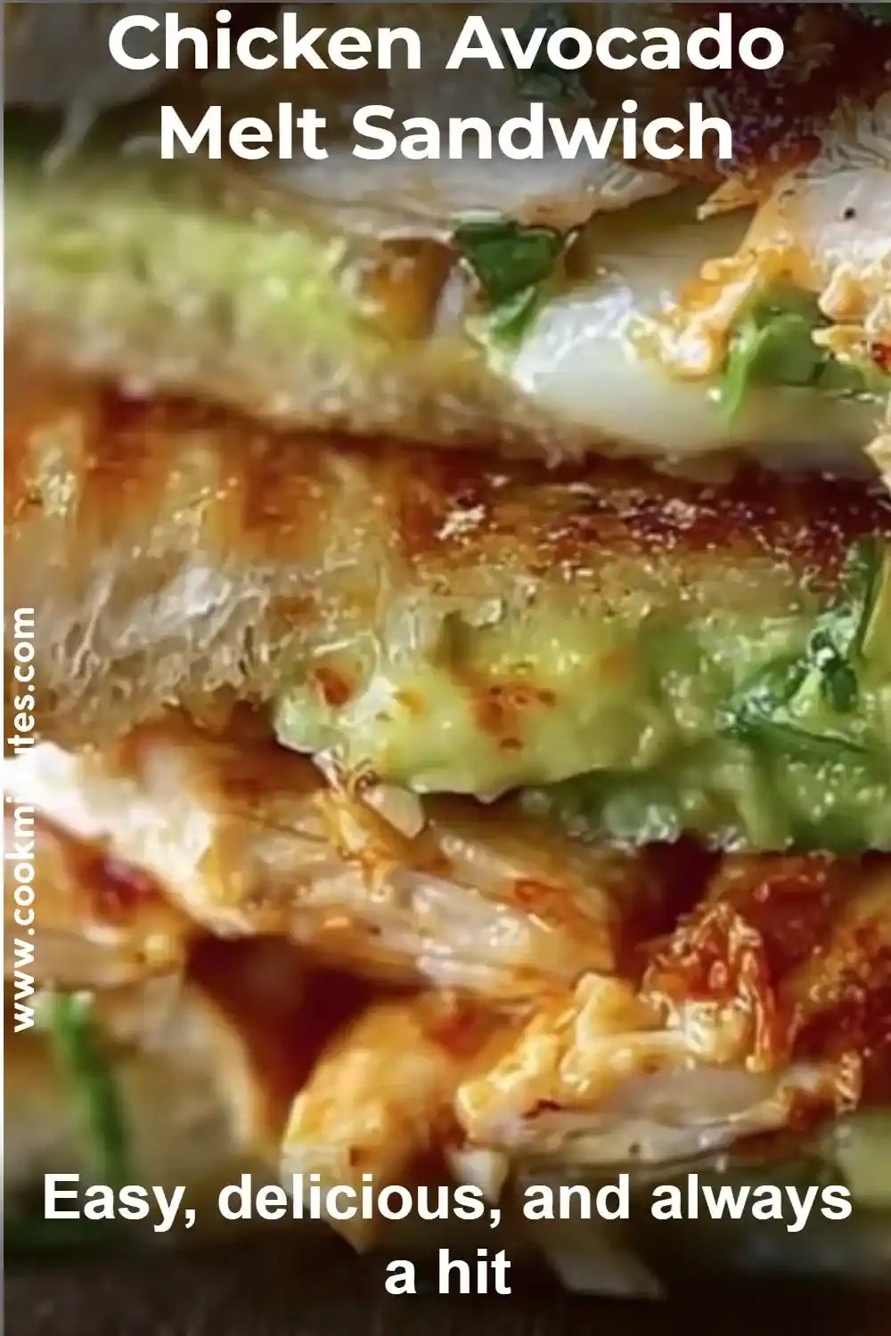 Chicken Avocado Melt stacked with grilled chicken, mashed avocado, and melted cheese on golden toast.