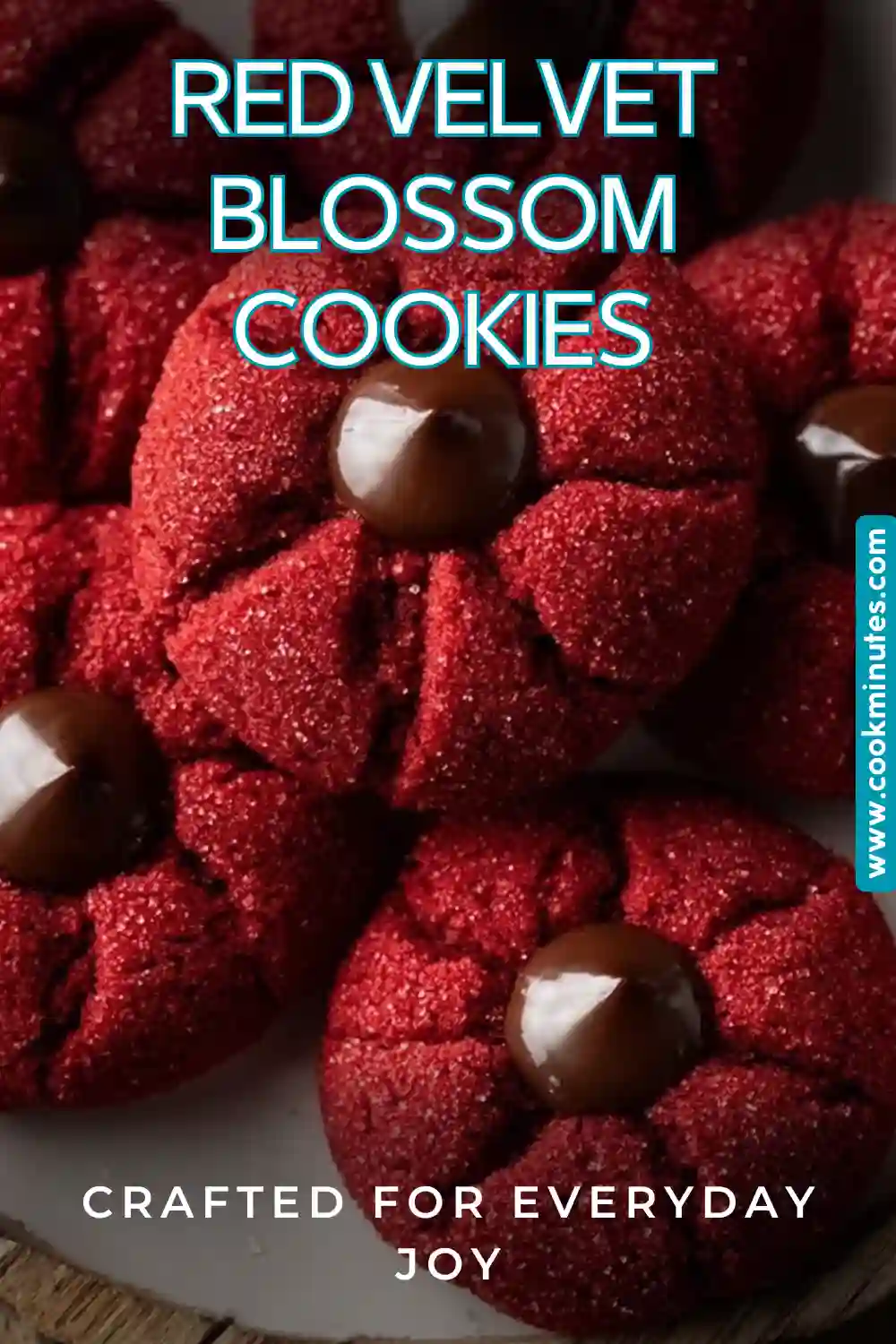 Red Velvet Blossom Cookies: A Festive Delight for All Occasions Delectable Red Velvet Blossom Cookies topped with Hershey's Kisses and sprinkles.
