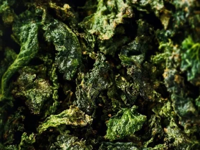 Bowl of crispy baked kale chips for a healthy snack option